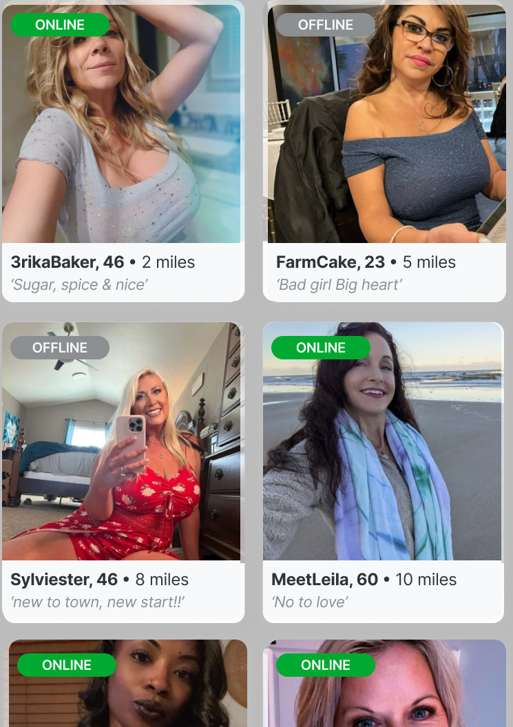 6 Matches Image